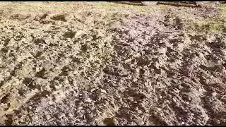 самодельный культиватор на минитрактор кмз-012