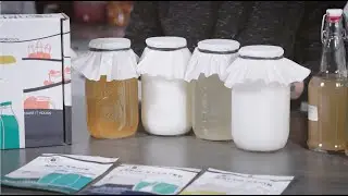 Different Types of Kefir
