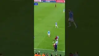 EVERYONE IS SCARED OF ZLATAN 🦁