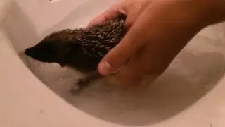 Mumford Gets A Bath