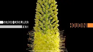 Sergio Casilimas VFX Houdini