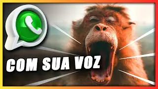 Whatsapp não tem como adicionar som de notificação RESOLVIDO!