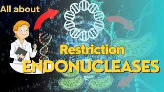 restriction endonucleases|molecular scissors|staggered cut|palindromic sequence