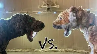 Saber-Toothed Cat VS. American Lion - Ultimate Animal Showdown Pilot/Episode 1! (Reupload)
