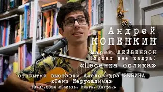 Андрей Копенкин «Песенка Ослика» (Не секрет что друзья не растут в огороде)