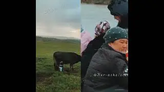 Қайран ауылым-ай!