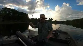 Fish With Your Rod, Not Your Reel