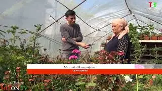 Модару писари гулпарвар