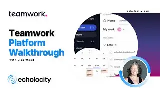 Teamwork.com Platform Walkthrough | Project Planning and Reporting | Dashboards and How to Navigate