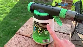 Beneficial Nematodes: The Natural Way to Control Fleas and How to Apply