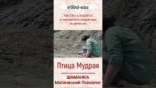Трейлер к видео от Птицы Мудрой *ЧИСТКА и ЗАЩИТА от магического воздействия во время сна*