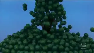 AGS PER COCO - Uno Spot Estivo