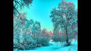 Beautiful Piano Music 24/7 • Study Music, Relaxing Music, Sleep Music, Meditation Music