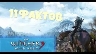 11 ГЛАВНЫХ ФАКТОВ О WITCHER 3 WILD HUNT