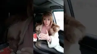 Сисечки и зубы верни 😂