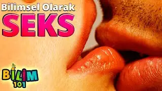 SEKS BİLİMİ - Bilim 101 Kısa Belgesel