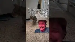 #cats