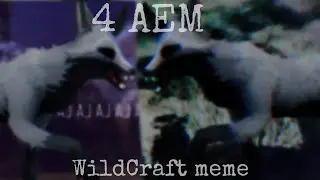 4 Aem   [WildCraft]  meme   [!FW & horror warring!]
