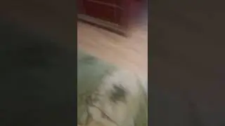 паркур всех гусей🤩