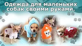 Одежда для маленьких собак своими руками.