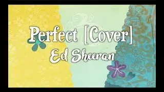 Ed Sheeran - Perfect | Cover by  Super Red Music