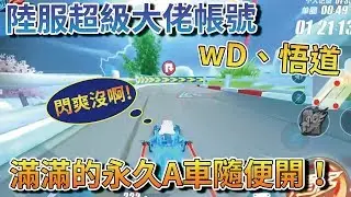 【Moverest】陸服超級大佬帳號「wD、悟道」！滿滿的永久A車隨便開！閃電閃爽沒啊！【Garena極速領域】