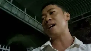 Lô Chim Cu Gáy Khủng Nhất Việt Nam. Quá đã !