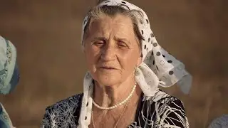 Сосна уж ты моя, да ты кудрявая