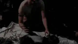 shave da pussy pussy