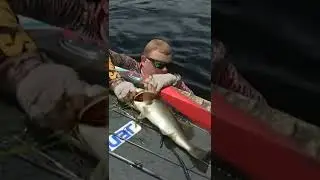 Mark Rose Jumps In After Fish #Shorts