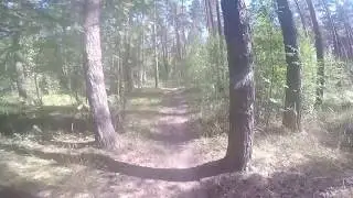 Черняевский лес, Заячьи горки.