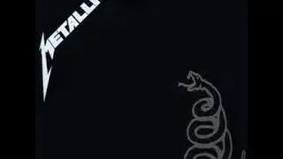 Metallica - The Struggle Within