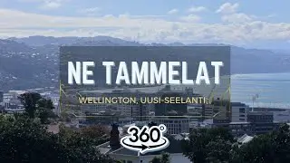 Näkymät Wellingtonin ylle, Uusi-Seelanti - 360 | Ne Tammelat