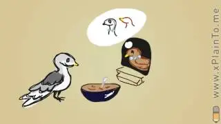 Сорока-ворона