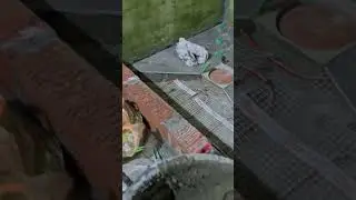 Душевой трап. Трап. Душевая