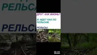 #shorts #мемы