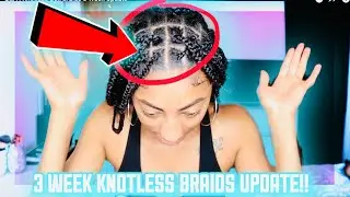 Knotless Box Braids 3 Week Update | PROS & CONS