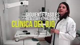 Learn what a first ophthalmological consultation is like.