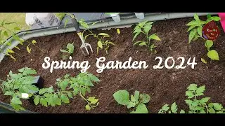 Spring Garden 2024