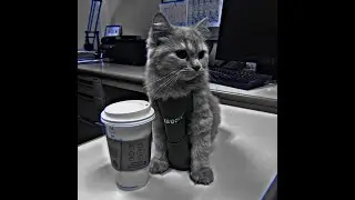 НОВЫЙ ВИДОС !!!