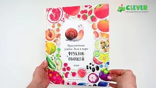 Приключения улитки Элли в мире фруктов и овощей