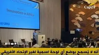 اليابان ترد بقوة: الجزائر والبوليساريو في ورطة بعد محاولة خرق تيكاد