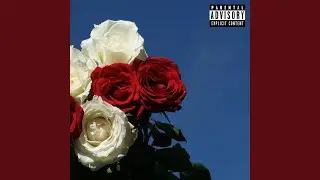 Love Lies