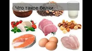 Что такое белки