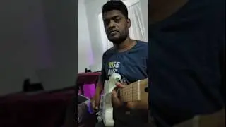 Smooth And Melodic - Original Guitar Solo - Jai #guitar #squierguitars #squieraffinitystratocaster