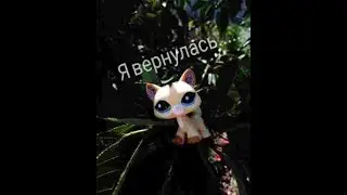 Я вернулась.....