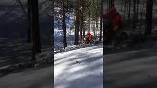 16 марта 2019 г.