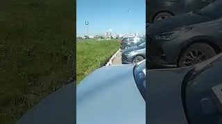 3 августа 2024 г.