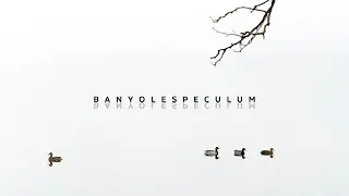 BanyoleSpeculum - El nuevo libro de Tino Soriano