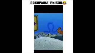 А вы любите рыбу?